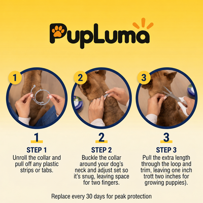 Flea & Tick Collar — Maximum Strength Protection Against Fleas, Ticks & Lice for Dogs