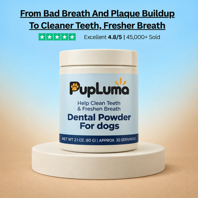 Probiotic Chews — Gut Health, Digestive Support & Immune Balance for Dogs