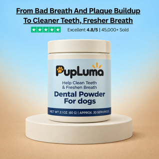 Probiotic Chews — Gut Health, Digestive Support & Immune Balance for Dogs