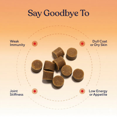 Multivitamin Chews — Daily Energy, Immune Support & Total Body Wellness for Dogs