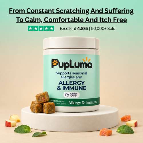 Allergy & Immune Support Chews - Anti-Itch, Skin Relief & Seasonal Allergy Defense for Dogs