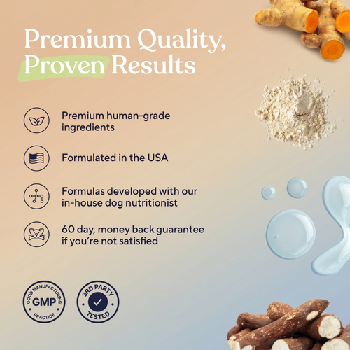 Probiotic Chews — Gut Health, Digestive Support & Immune Balance for Dogs