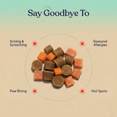 Allergy & Immune Support Chews - Anti-Itch, Skin Relief & Seasonal Allergy Defense for Dogs