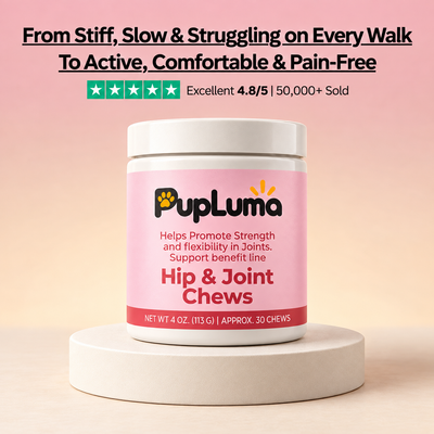 Hip & Joint Chews — Inflammation Relief & Long-Term Mobility for Dogs