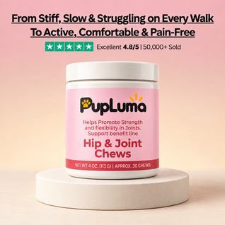 Hip & Joint Chews — Inflammation Relief & Long-Term Mobility for Dogs