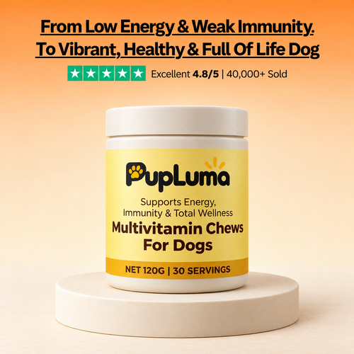 Multivitamin Chews — Daily Energy, Immune Support & Total Body Wellness for Dogs