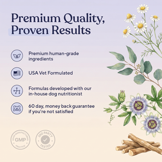 Calm Chews — Anxiety Relief & Stress Support for Dogs
