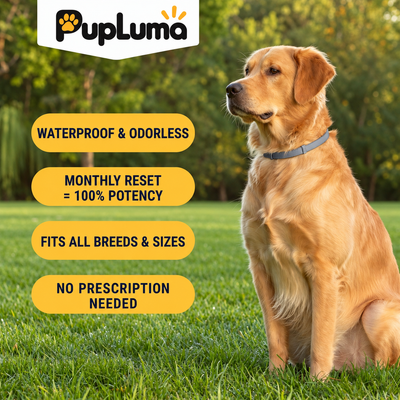 Flea & Tick Collar — Maximum Strength Protection Against Fleas, Ticks & Lice for Dogs