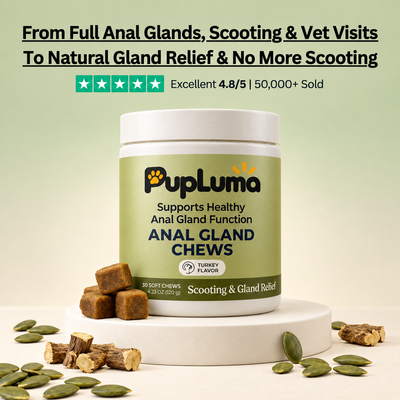 Anal Gland Chews — Scooting Relief, Gland Health & Digestive Support for Dogs