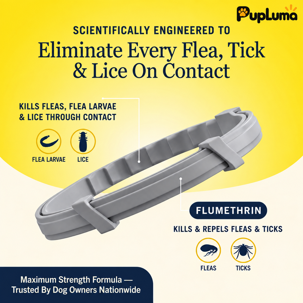 Flea & Tick Collar — Maximum Strength Protection Against Fleas, Ticks & Lice for Dogs