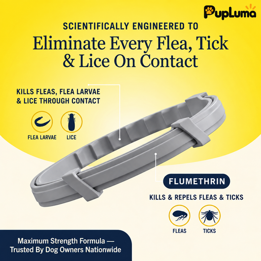 Flea & Tick Collar — Maximum Strength Protection Against Fleas, Ticks & Lice for Dogs