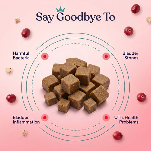 Urinary & Bladder Support Chews — UTI Relief, Bladder Health & Urinary Defense for Dogs