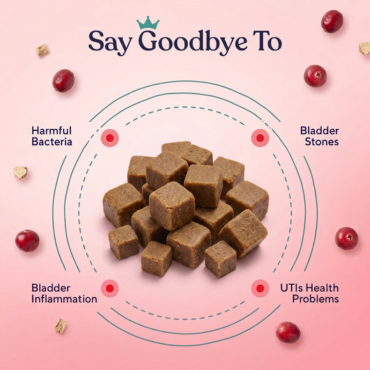 Urinary & Bladder Support Chews — UTI Relief, Bladder Health & Urinary Defense for Dogs