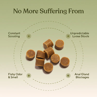 Anal Gland Chews — Scooting Relief, Gland Health & Digestive Support for Dogs