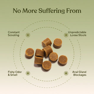 Anal Gland Chews — Scooting Relief, Gland Health & Digestive Support for Dogs