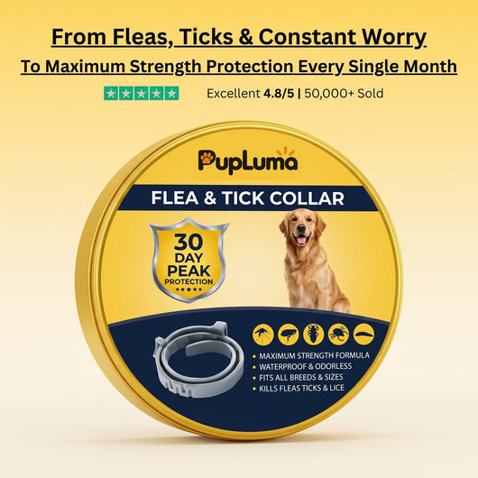 Flea & Tick Collar — Maximum Strength Protection Against Fleas, Ticks & Lice for Dogs